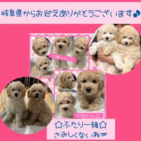 2024/08/12の画像