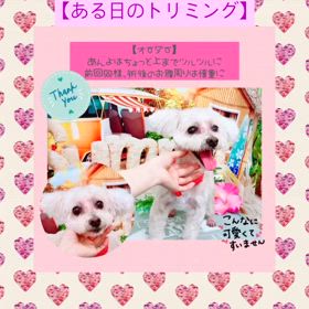 2024/07/11の画像