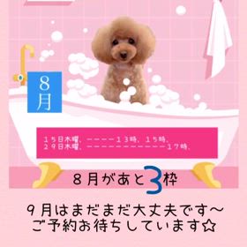 2024/08/11の画像