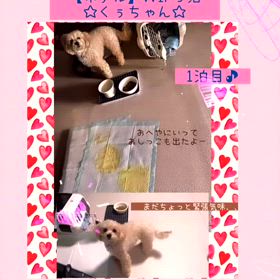 2024/08/01の画像