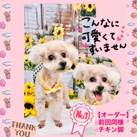 2024/08/10の画像