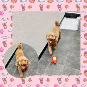 2024/08/17の画像