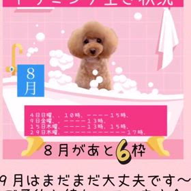 2024/08/03の画像
