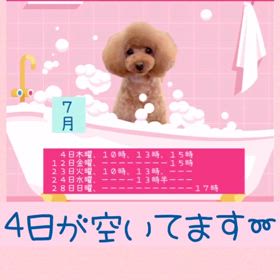 2024/07/02の画像