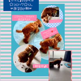 2024/07/12の画像