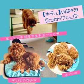 2024/07/15の画像