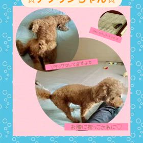 2024/08/22の画像