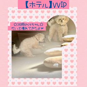 2024/08/02の画像