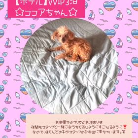 2024/08/16の画像