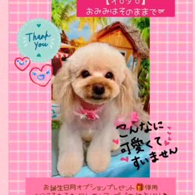 2024/07/19の画像