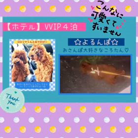 2024/07/14の画像