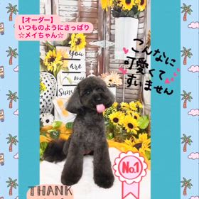 2024/08/05の画像
