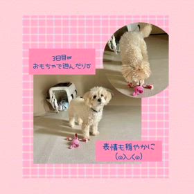 2024/08/03の画像