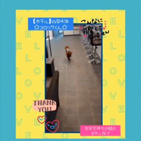 2024/07/18の画像