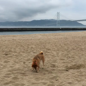 2017/07/03の画像