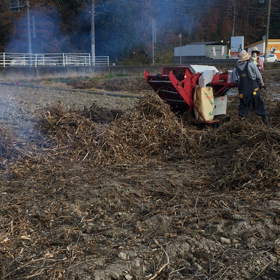 猪  名川農業女子pの画像