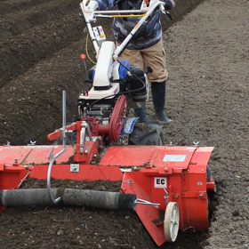 猪名川農業女子PJの画像