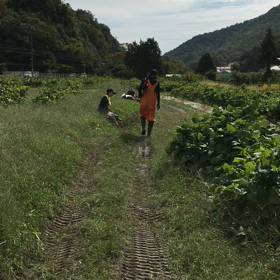 猪名川農業女子PJの画像