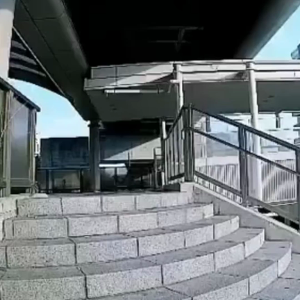 常夏の記事動画
