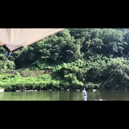 1/fゆらぎとかの記事動画