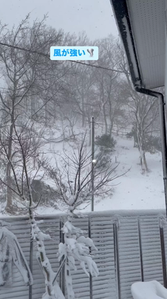 石川県大雪警報！サンタは来れるのか？！(　ﾟдﾟ)の記事動画