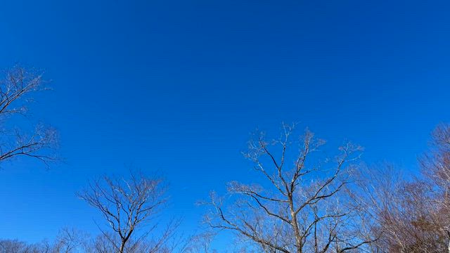 ◆［夢叶うアマテラス動画］天国の人にお願いしようの記事動画