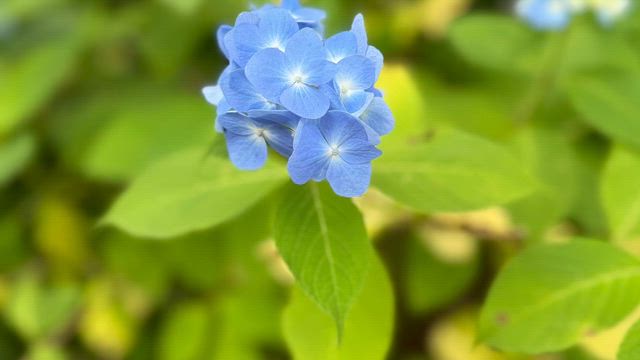 ◆［リセット動画］一粒万倍日、体と頭を休めましょうの記事動画