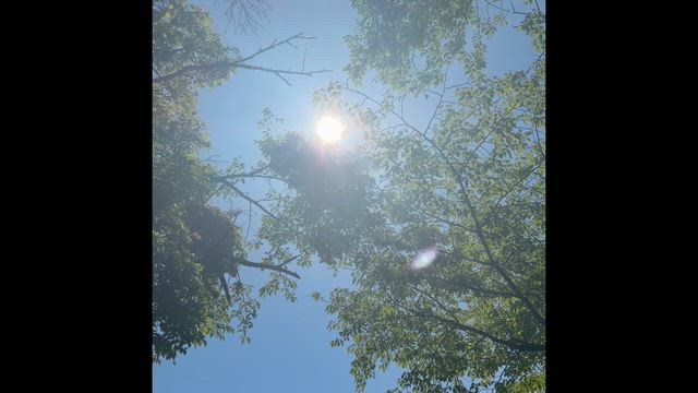 ◆牧場の景色でほっこり&リセットタイムの記事動画