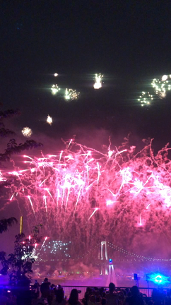未来型花火エンターテイメント　STAR ISLAND2019へ♪の記事動画
