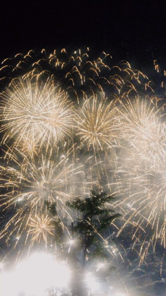 未来型花火エンターテイメント　STAR ISLAND2019へ♪の記事動画