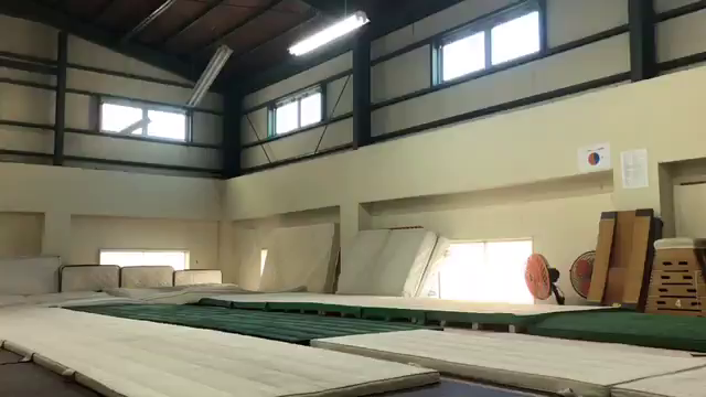 お裾分けの記事動画