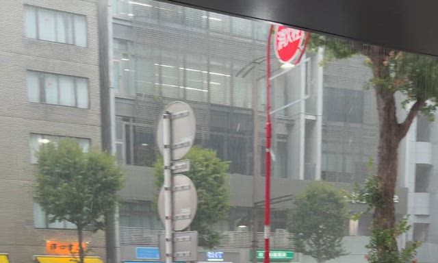 ゲリラ豪雨の記事動画