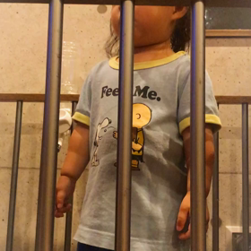 パパが好きなのかそれとも歌が好きなのか！の画像