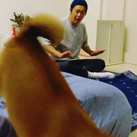 ミク＆パパ  特技シリーズの画像