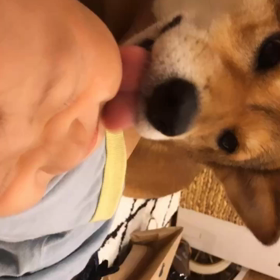 さく&ミクの画像