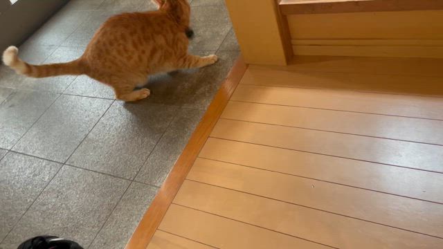 笑えば大吉！喬介さん！食べる順番！新しい私！の記事動画