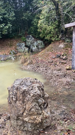 大覚寺の記事動画