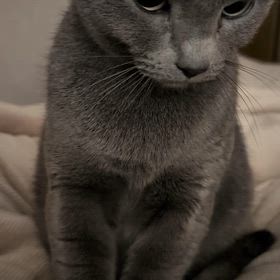 260310の画像