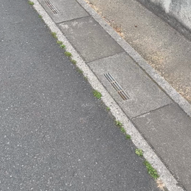 大好きの画像