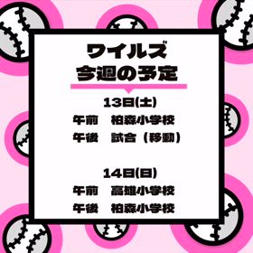 2024/04/11の画像