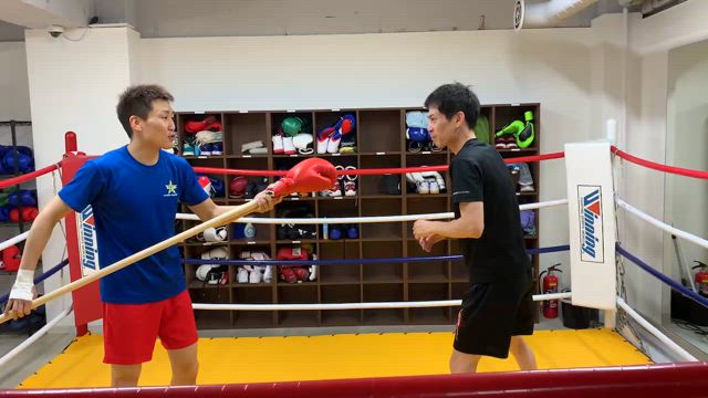 １周年の記事動画