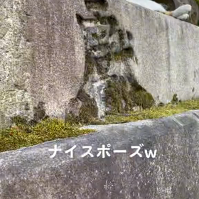 TIKTOKよりの画像