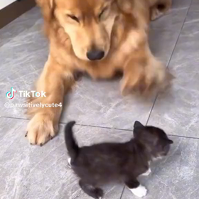 怒られるの画像