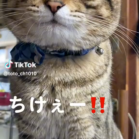 本音？wの画像