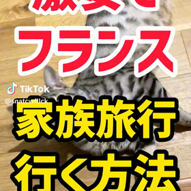 ミーはおフランス帰りザンス！の画像