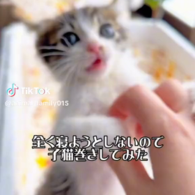 今朝の癒しの画像