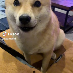 2023/09/09の画像