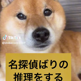続 お散歩嫌いの画像
