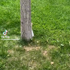 可愛い♪の画像