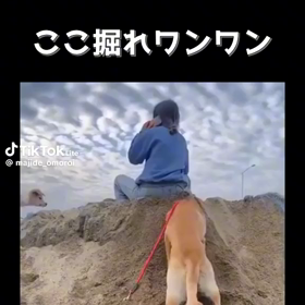 今朝の癒しの画像